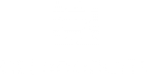 logo-celadoncity-300x149